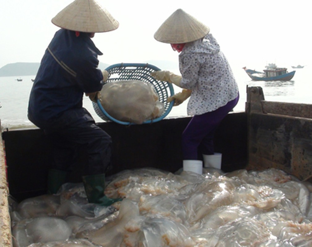 Ngu dan vao mua san “vang trang”, kiem chuc trieu moi ngay-Hinh-6